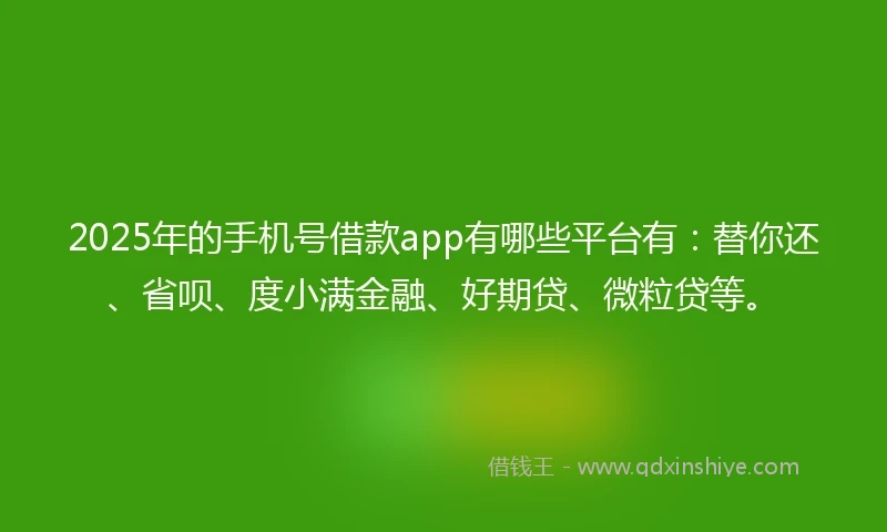 2025年的手机号借款app有哪些平台有：替你还、省呗、度小满金融、好期贷、微粒贷等。