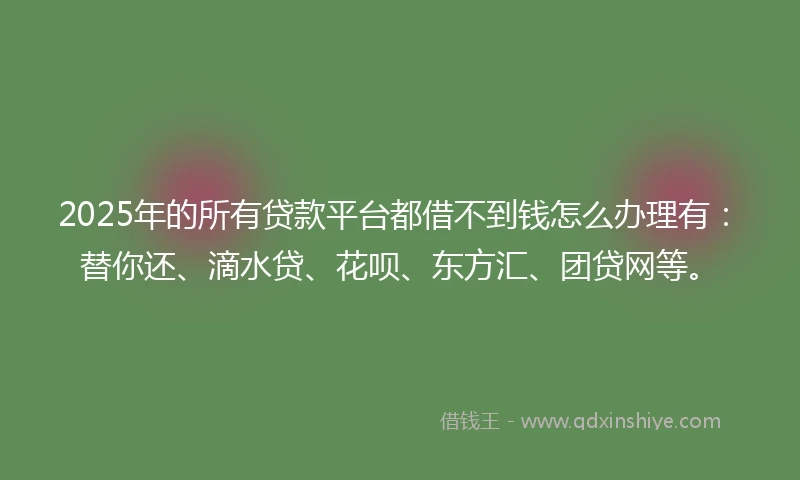 2025年的所有贷款平台都借不到钱怎么办理有：替你还、滴水贷、花呗、东方汇、团贷网等。