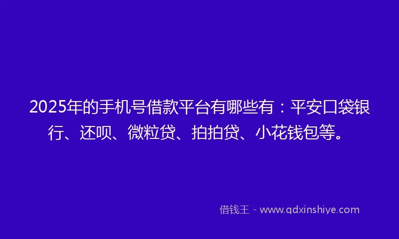 2025年的手机号借款平台有哪些有：平安口袋银行、还呗、微粒贷、拍拍贷、小花钱包等。