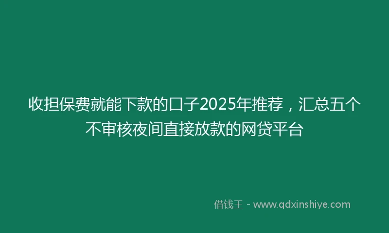 收担保费就能下款的口子2025年推荐，汇总五个不审核夜间直接放款的网贷平台