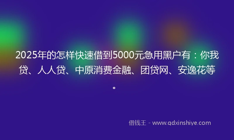 2025年的怎样快速借到5000元急用黑户有：你我贷、人人贷、中原消费金融、团贷网、安逸花等。