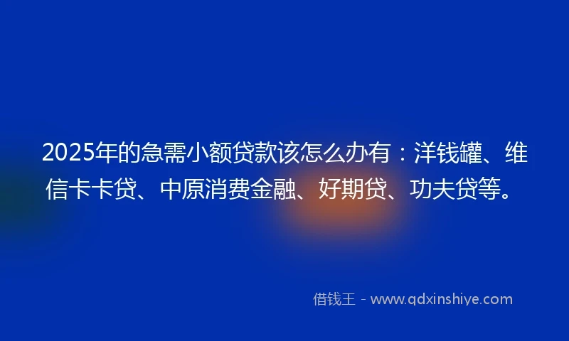 2025年的急需小额贷款该怎么办有：洋钱罐、维信卡卡贷、中原消费金融、好期贷、功夫贷等。
