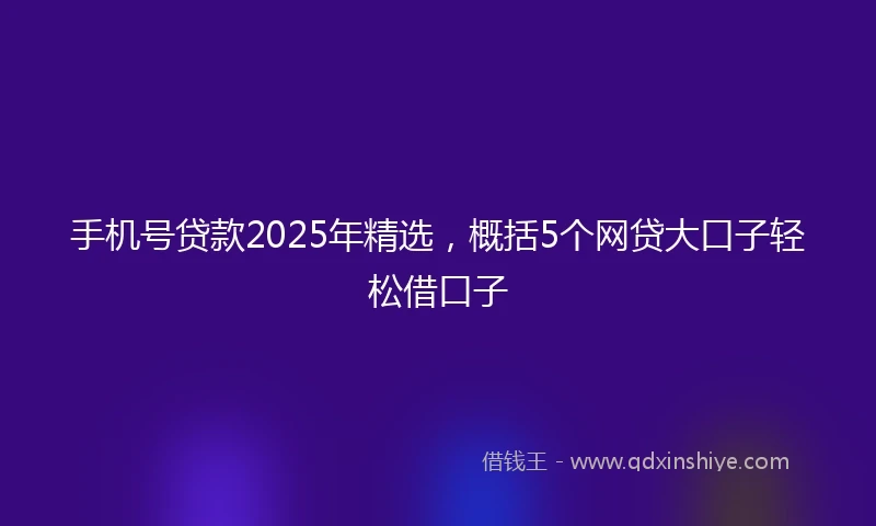 手机号贷款2025年精选，概括5个网贷大口子轻松借口子
