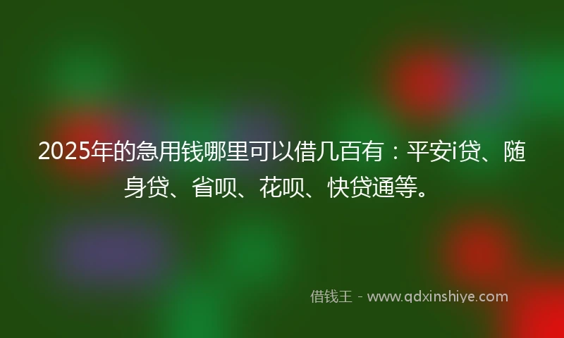2025年的急用钱哪里可以借几百有：平安i贷、随身贷、省呗、花呗、快贷通等。