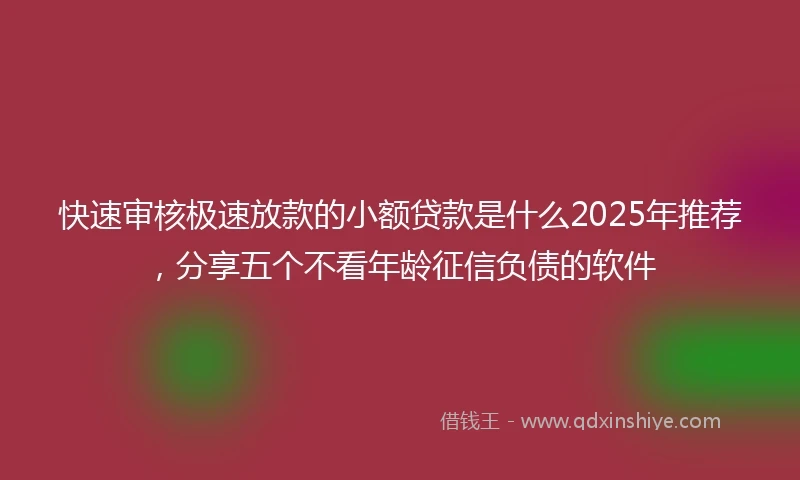 快速审核极速放款的小额贷款是什么2025年推荐，分享五个不看年龄征信负债的软件