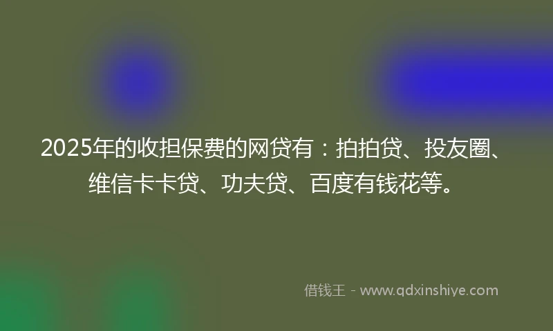 2025年的收担保费的网贷有：拍拍贷、投友圈、维信卡卡贷、功夫贷、百度有钱花等。