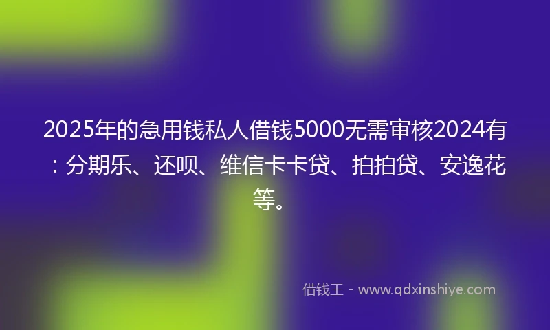 2025年的急用钱私人借钱5000无需审核2024有：分期乐、还呗、维信卡卡贷、拍拍贷、安逸花等。