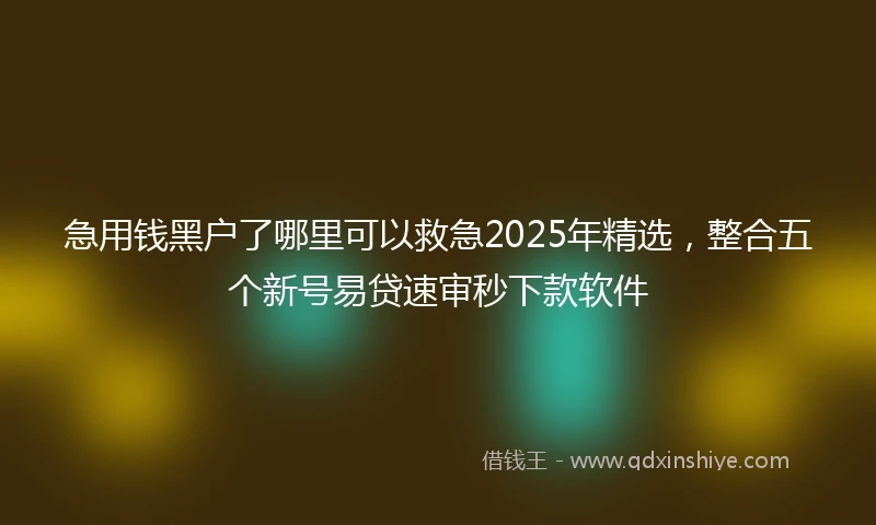 急用钱黑户了哪里可以救急2025年精选，整合五个新号易贷速审秒下款软件