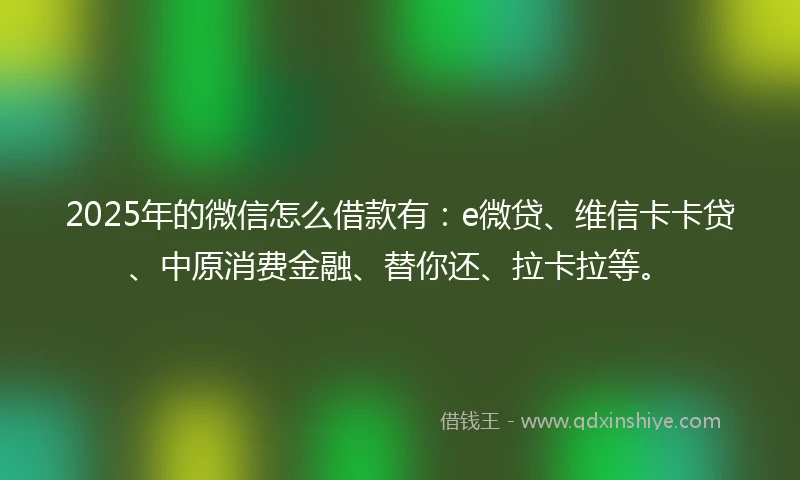 2025年的微信怎么借款有：e微贷、维信卡卡贷、中原消费金融、替你还、拉卡拉等。