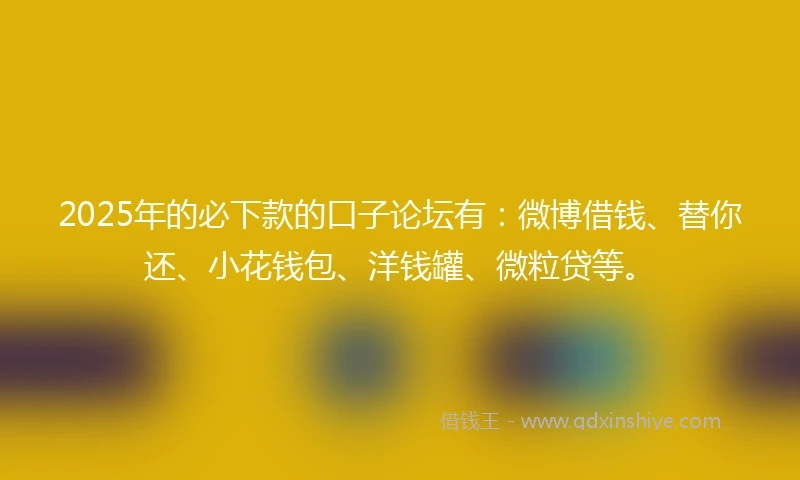 2025年的必下款的口子论坛有：微博借钱、替你还、小花钱包、洋钱罐、微粒贷等。