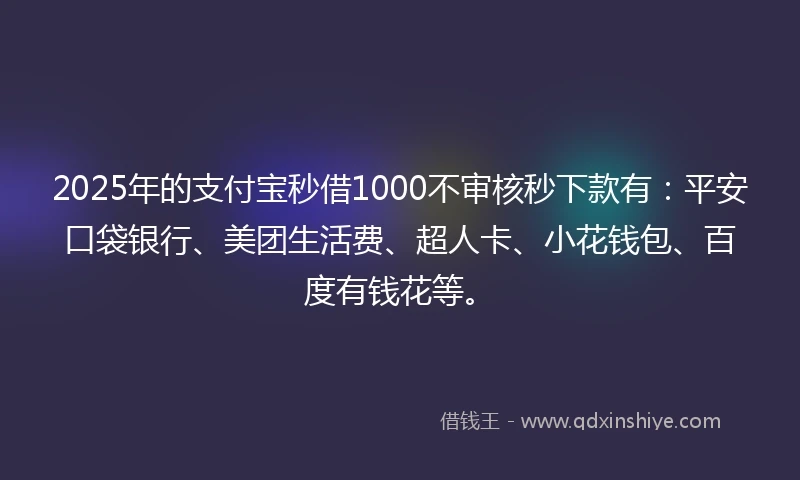 2025年的支付宝秒借1000不审核秒下款有：平安口袋银行、美团生活费、超人卡、小花钱包、百度有钱花等。