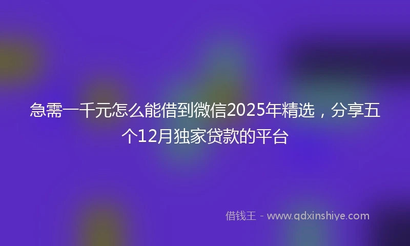 急需一千元怎么能借到微信2025年精选，分享五个12月独家贷款的平台