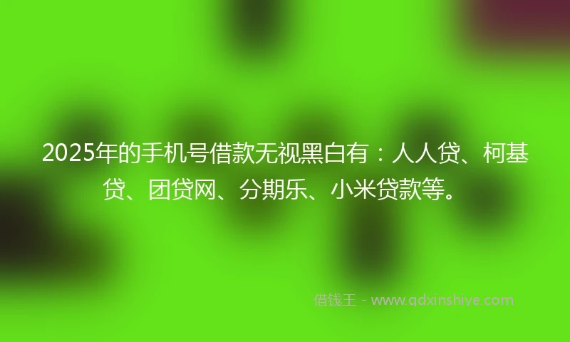 2025年的手机号借款无视黑白有：人人贷、柯基贷、团贷网、分期乐、小米贷款等。