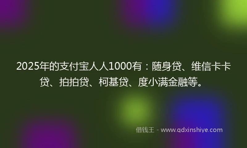 2025年的支付宝人人1000有：随身贷、维信卡卡贷、拍拍贷、柯基贷、度小满金融等。