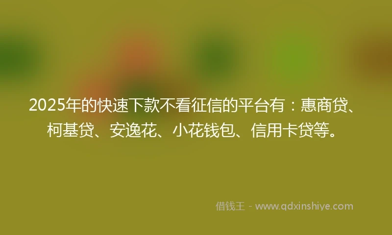 2025年的快速下款不看征信的平台有：惠商贷、柯基贷、安逸花、小花钱包、信用卡贷等。