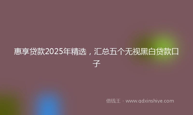 惠享贷款2025年精选，汇总五个无视黑白贷款口子