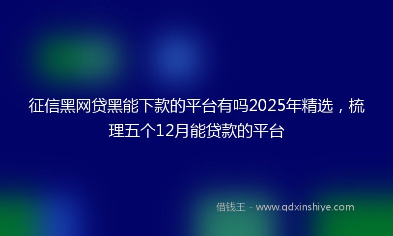 征信黑网贷黑能下款的平台有吗2025年精选，梳理五个12月能贷款的平台