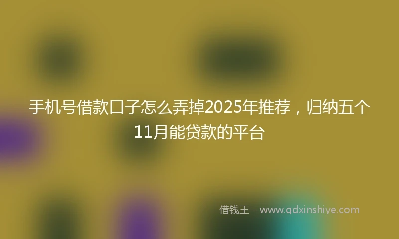 手机号借款口子怎么弄掉2025年推荐，归纳五个11月能贷款的平台