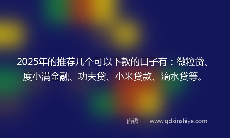 2025年的推荐几个可以下款的口子有：微粒贷、度小满金融、功夫贷、小米贷款、滴水贷等。