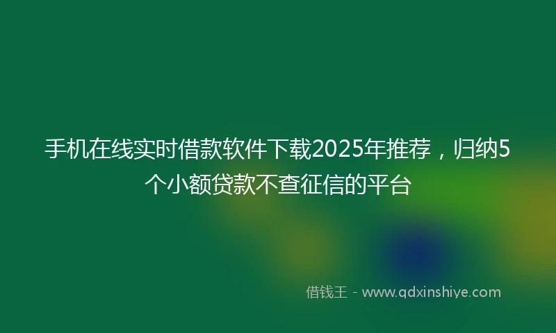 手机在线实时借款软件下载2025年推荐，归纳5个小额贷款不查征信的平台