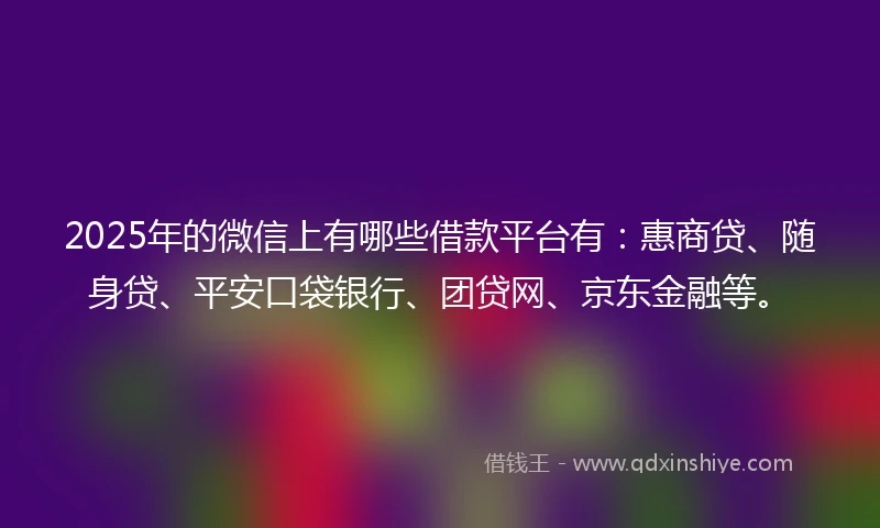 2025年的微信上有哪些借款平台有：惠商贷、随身贷、平安口袋银行、团贷网、京东金融等。