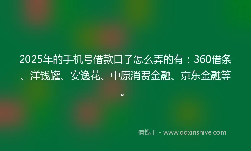 2025年的手机号借款口子怎么弄的有：360借条、洋钱罐、安逸花、中原消费金融、京东金融等。