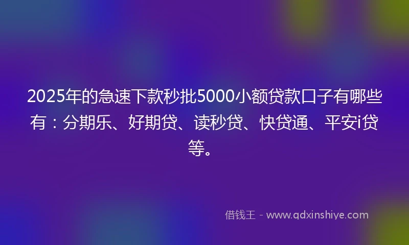 2025年的急速下款秒批5000小额贷款口子有哪些有：分期乐、好期贷、读秒贷、快贷通、平安i贷等。