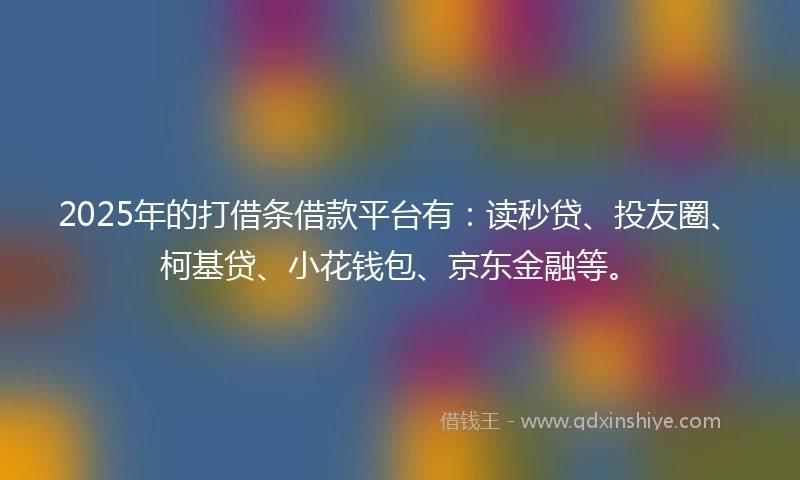 2025年的打借条借款平台有：读秒贷、投友圈、柯基贷、小花钱包、京东金融等。
