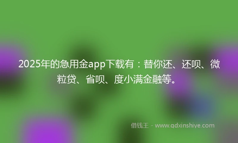 2025年的急用金app下载有：替你还、还呗、微粒贷、省呗、度小满金融等。