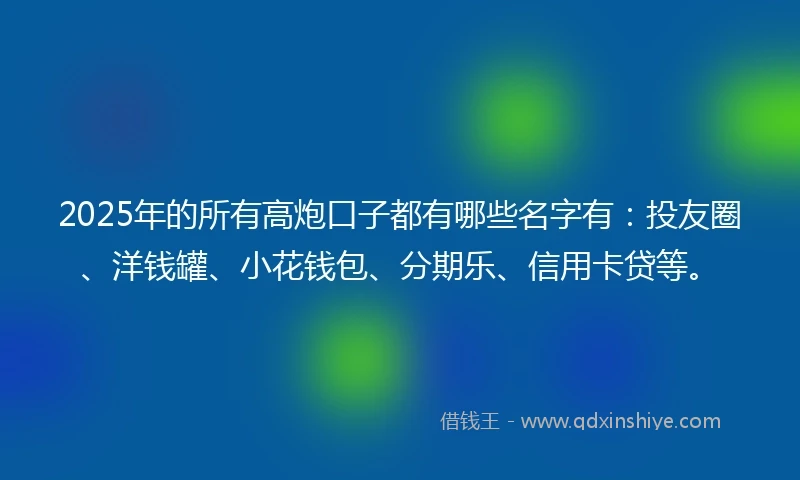 2025年的所有高炮口子都有哪些名字有：投友圈、洋钱罐、小花钱包、分期乐、信用卡贷等。