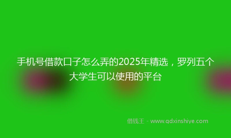 手机号借款口子怎么弄的2025年精选，罗列五个大学生可以使用的平台