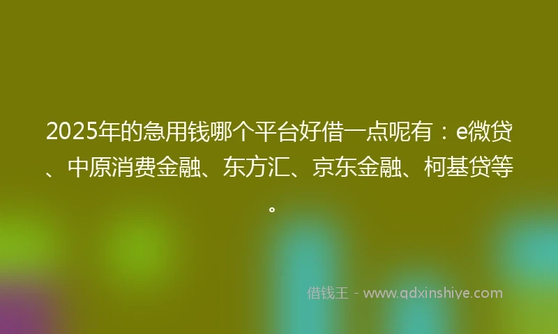 2025年的急用钱哪个平台好借一点呢有：e微贷、中原消费金融、东方汇、京东金融、柯基贷等。
