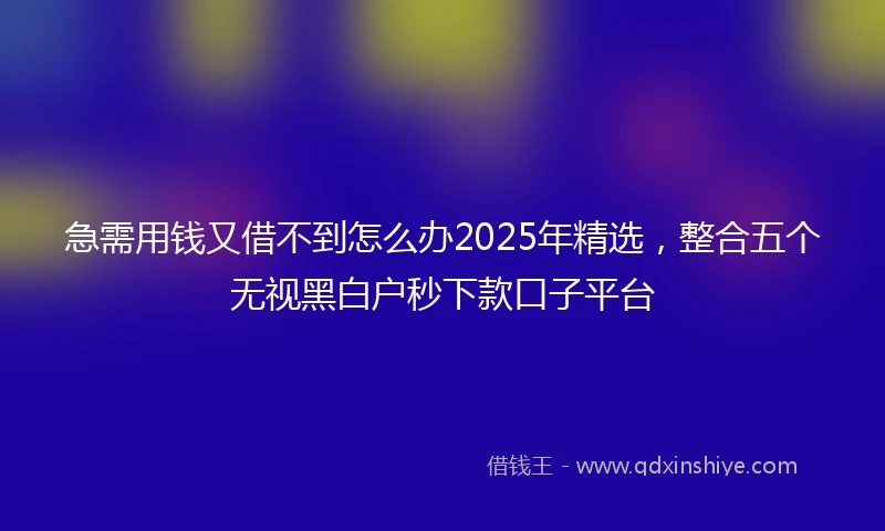 急需用钱又借不到怎么办2025年精选，整合五个无视黑白户秒下款口子平台