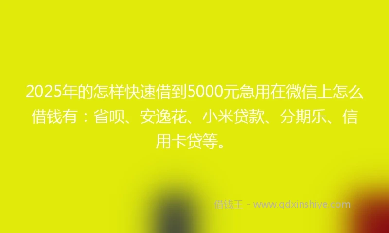 2025年的怎样快速借到5000元急用在微信上怎么借钱有：省呗、安逸花、小米贷款、分期乐、信用卡贷等。