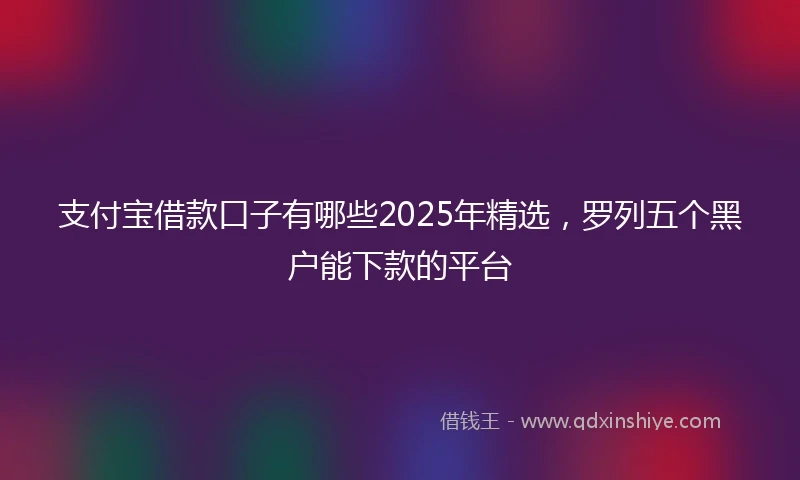 支付宝借款口子有哪些2025年精选，罗列五个黑户能下款的平台