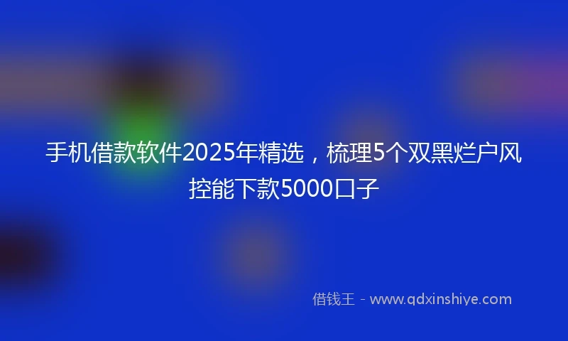 手机借款软件2025年精选，梳理5个双黑烂户风控能下款5000口子