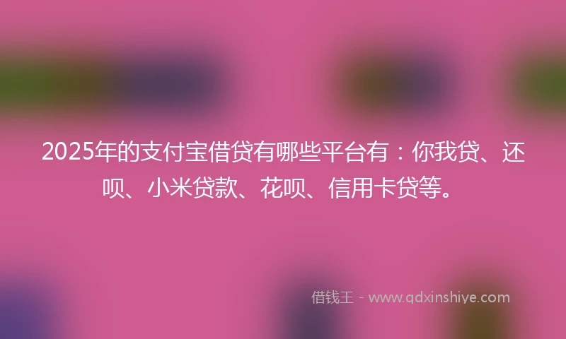 2025年的支付宝借贷有哪些平台有：你我贷、还呗、小米贷款、花呗、信用卡贷等。