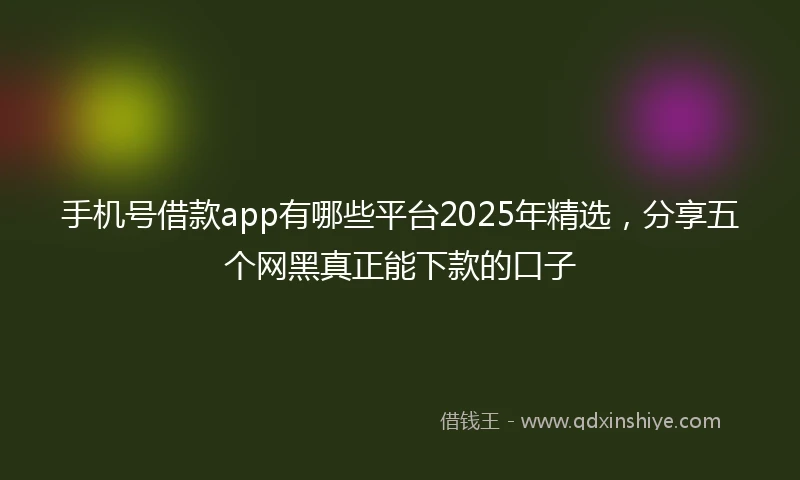 手机号借款app有哪些平台2025年精选，分享五个网黑真正能下款的口子