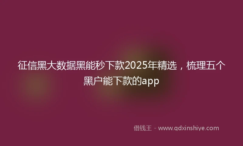 征信黑大数据黑能秒下款2025年精选，梳理五个黑户能下款的app