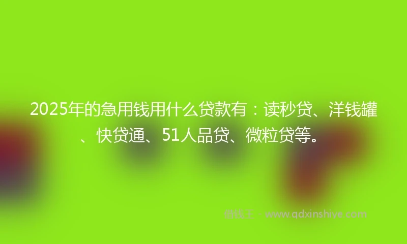 2025年的急用钱用什么贷款有：读秒贷、洋钱罐、快贷通、51人品贷、微粒贷等。