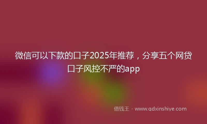 微信可以下款的口子2025年推荐，分享五个网贷口子风控不严的app