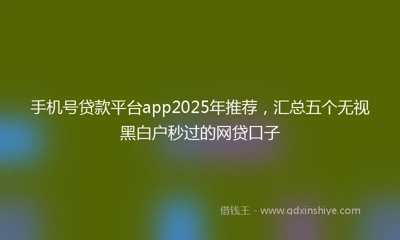 手机号贷款平台app2025年推荐,汇总五个无视黑白户秒过的网贷口子