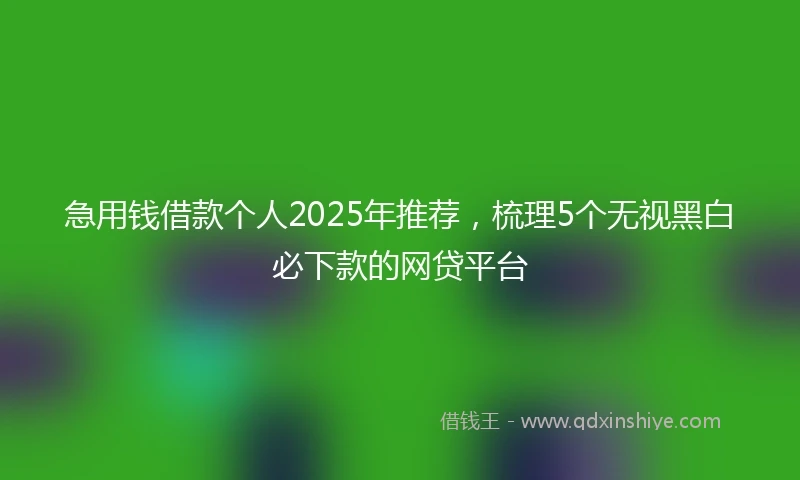 急用钱借款个人2025年推荐，梳理5个无视黑白必下款的网贷平台