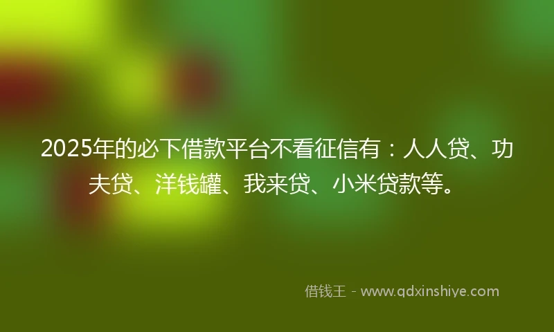 2025年的必下借款平台不看征信有：人人贷、功夫贷、洋钱罐、我来贷、小米贷款等。