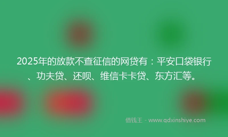 2025年的放款不查征信的网贷有：平安口袋银行、功夫贷、还呗、维信卡卡贷、东方汇等。