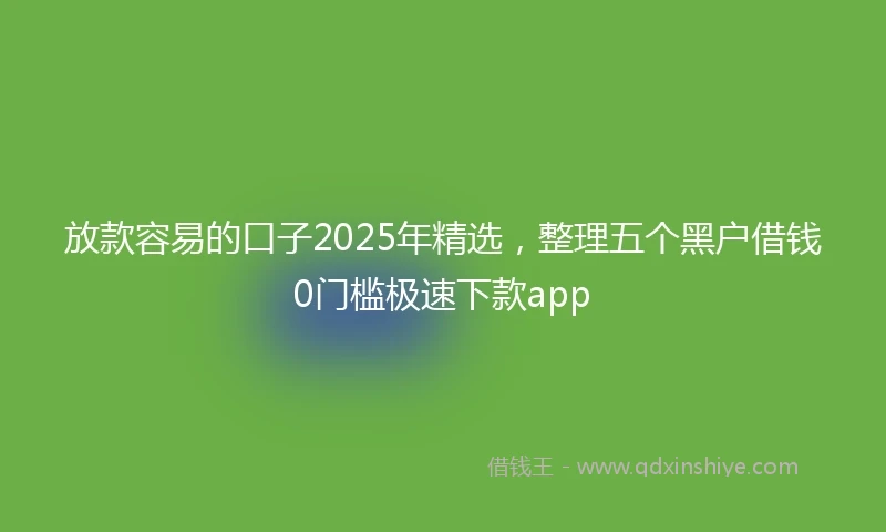 放款容易的口子2025年精选，整理五个黑户借钱0门槛极速下款app