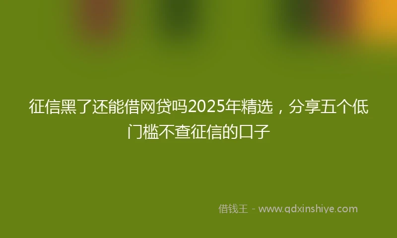 征信黑了还能借网贷吗2025年精选，分享五个低门槛不查征信的口子