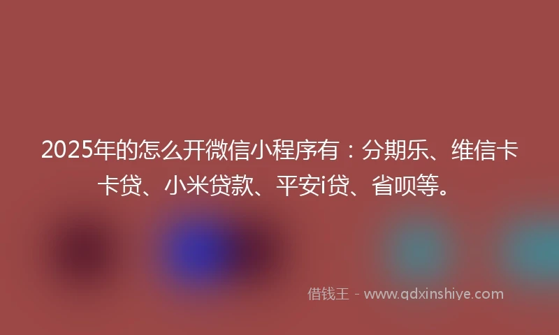 2025年的怎么开微信小程序有：分期乐、维信卡卡贷、小米贷款、平安i贷、省呗等。