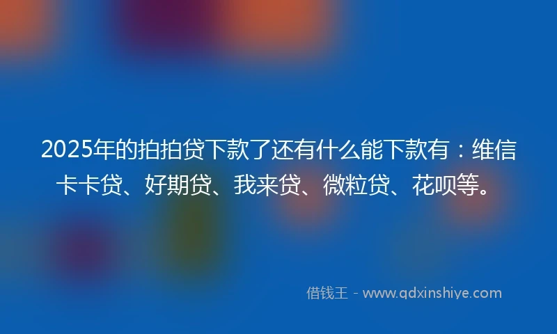 2025年的拍拍贷下款了还有什么能下款有：维信卡卡贷、好期贷、我来贷、微粒贷、花呗等。