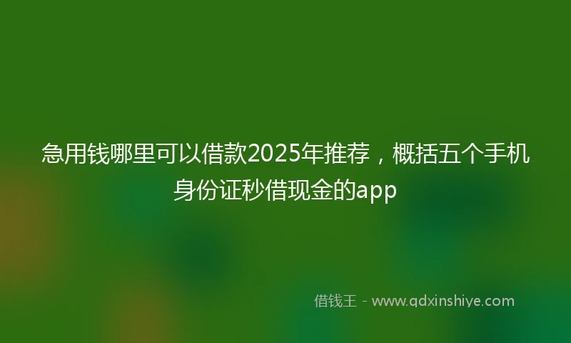 急用钱哪里可以借款2025年推荐，概括五个手机身份证秒借现金的app